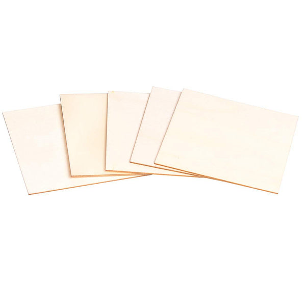 40pcs Blank Wood Pieces